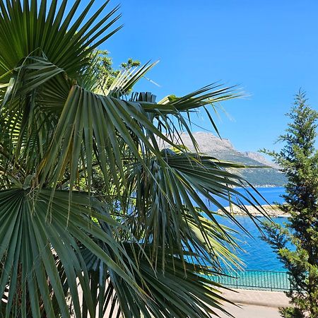 Villa Jade Apartments Front Row Sea View - Walk To Korcula Old Town Medvinjak Εξωτερικό φωτογραφία