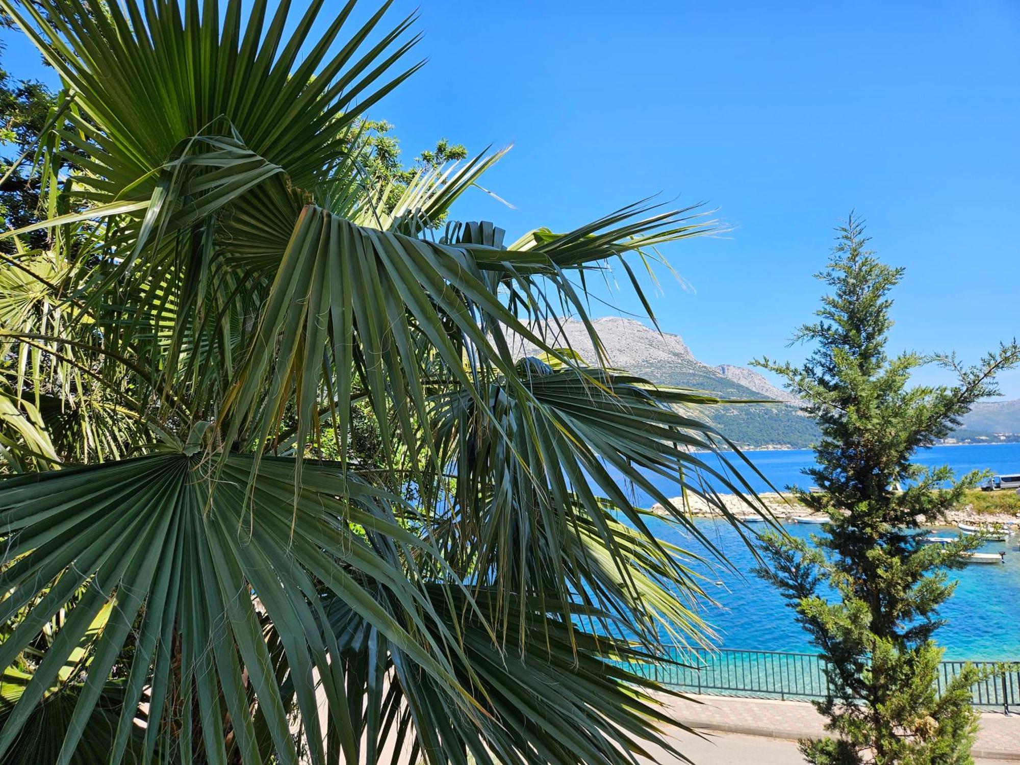 Villa Jade Apartments Front Row Sea View - Walk To Korcula Old Town Medvinjak Εξωτερικό φωτογραφία
